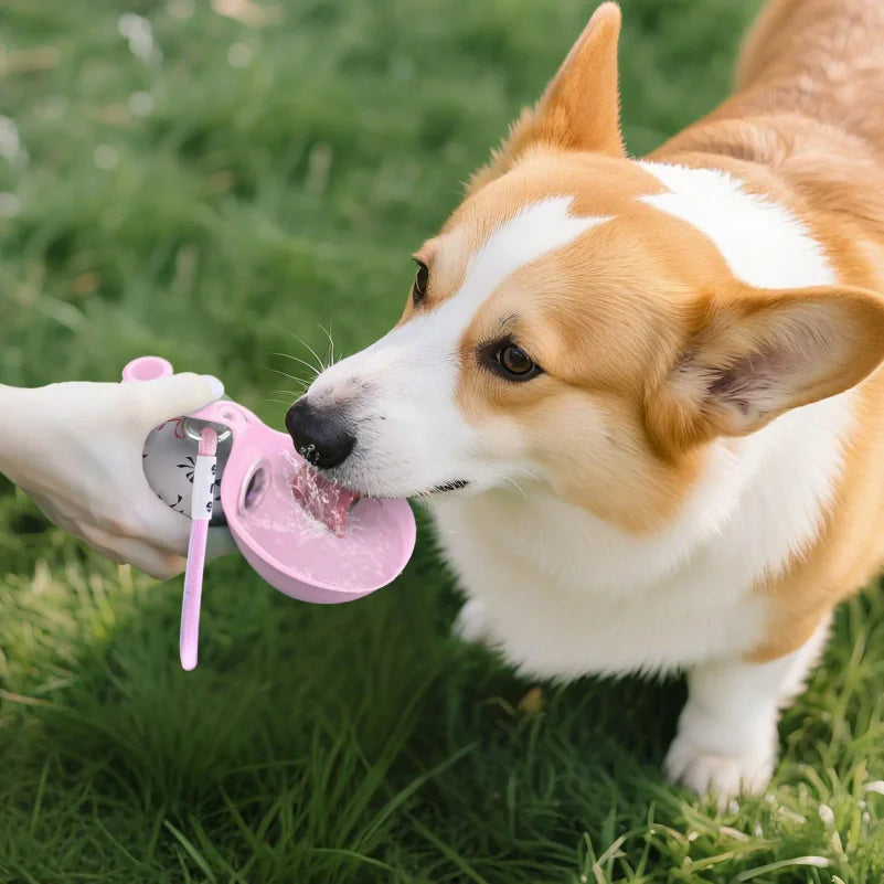 Portable Dog Hydration Buddy
