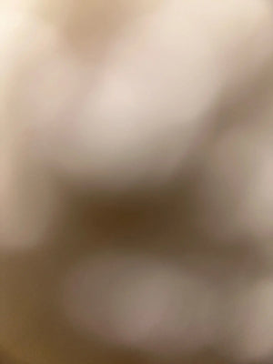 A557889d01b5740efb4429842f56ecedan.jpg
